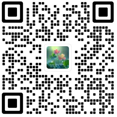 中国藏学杂志模板